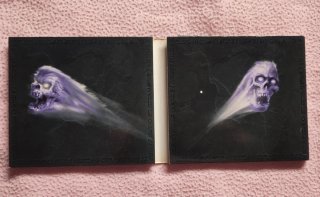 Axel Rudi Pell - The Wizards Chosen Few CD