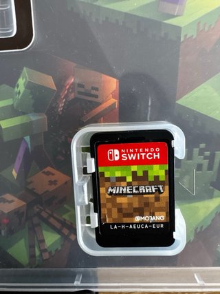 Minecraft Nintendo Switch