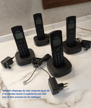 Teléfonos Inalámbricos Panasonic Base + Supletorio