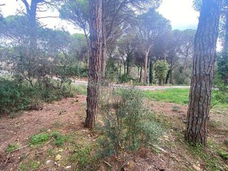 Terreno en venta en Mas Pere-Río de Oro en Calonge