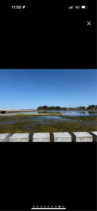 Terreno  para edificio de en Cambados zona pombal