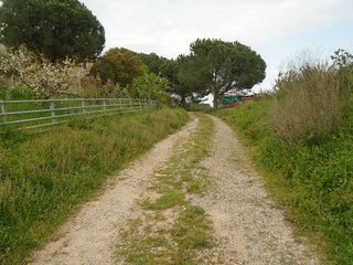 Masía en venta en Sant Celoni