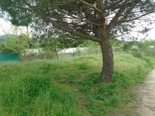 Masía en venta en Sant Celoni