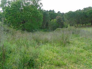 Masía en venta en Sant Celoni