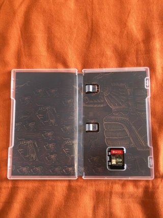Zelda Tears of the Kingdom Nintendo Switch (TOTK)