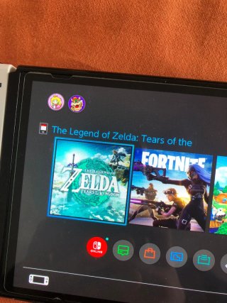 Zelda Tears of the Kingdom Nintendo Switch (TOTK)