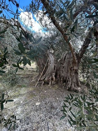 Casa rural en venta en Vélez-Blanco