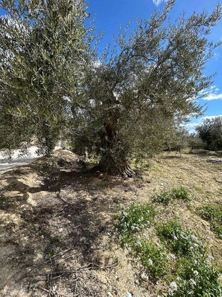 Casa rural en venta en Vélez-Blanco