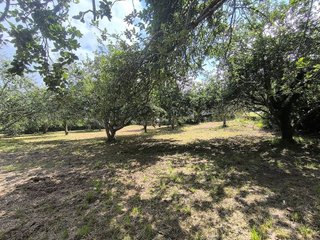 Casa rural en venta en Ortigueira