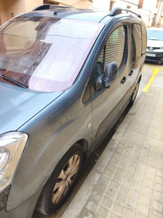 Citroen Berlingo 2009