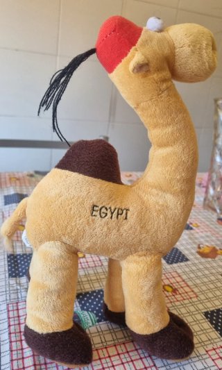 Peluche Cammello Souvenir Egitto