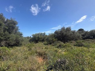 Terreno en venta en Muro