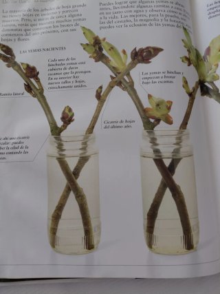 Mi primer libro de la naturaleza