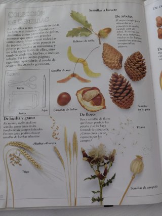 Mi primer libro de la naturaleza