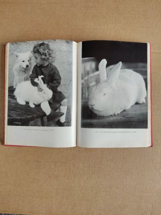 Libro El Arte de Criar Conejos