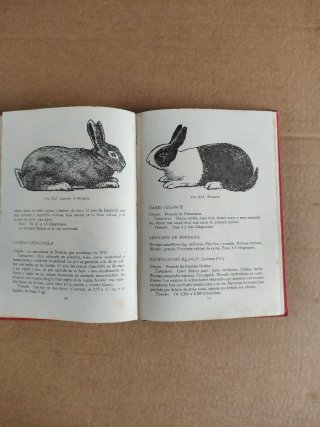 Libro El Arte de Criar Conejos