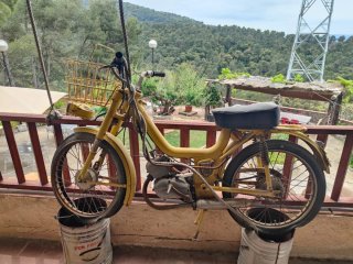 Motos Antiguas Estilo Moped
