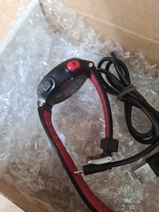 Garmin Forerunner 220 GPS Rojo