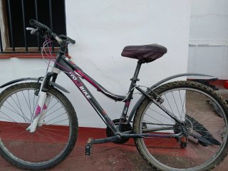 Bicicleta WOLFBIKE ALMA 26