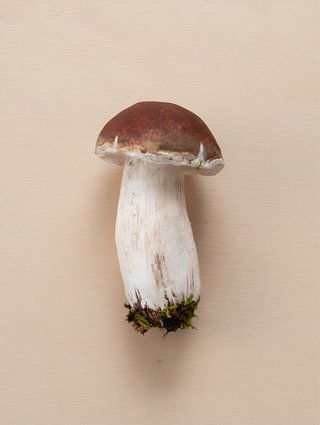 Set 3 Setas Decorativas Hechas a Mano tipo Boletus