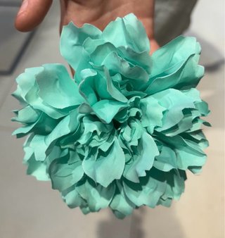 Flor flamenca y romerías