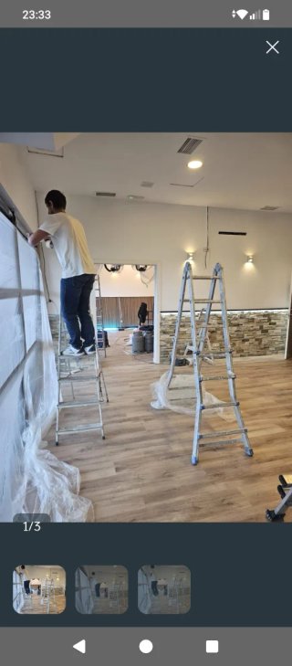 Quitamos gotele alisamos pintor reparación goteras