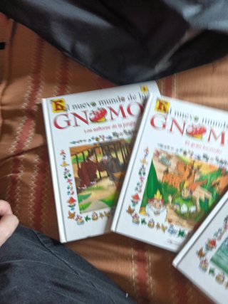 Colección de libros sobre David el Gnomo