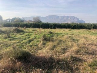 Terreno en venta en Pedreguer