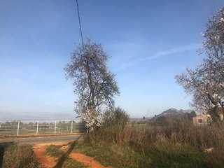 Terreno en venta en Pedreguer