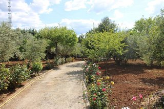 Casa en venta en Ronda