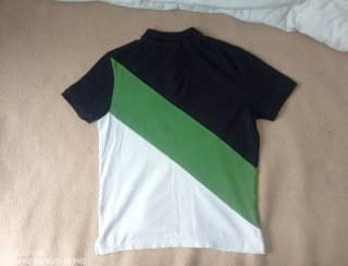 Polo Springfield