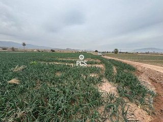 Terreno en venta en Totana