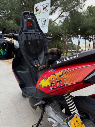 Carenado Jog RR Yamaha Rojo