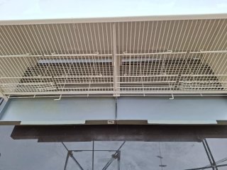3 Jaulas de cría 1 metro completas