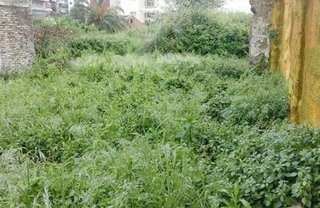 Terreno en venta en Travesía de Vigo - San Xoán en Vigo