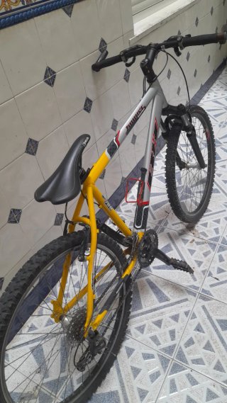 Bicicleta BH Gris y Amarilla