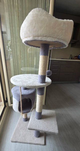 Árbol rascador para gatos