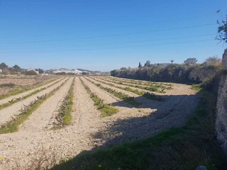 Terreno en venta en Teulada Pueblo en Teulada