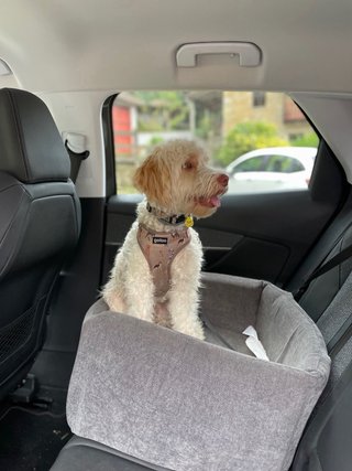 Asiento elevador coche para perro PAWBOSE