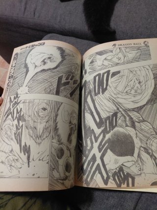 Dragon ball