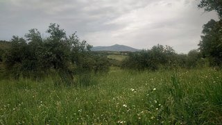 Terreno en venta en Álora