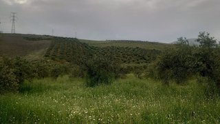 Terreno en venta en Álora