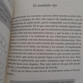 El poder de los mandalas por Rüdiger Dahlke