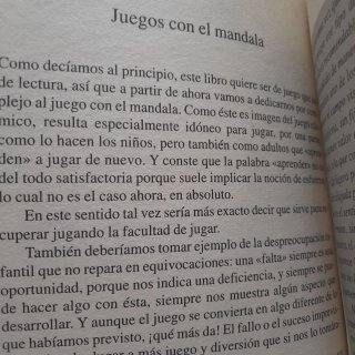 El poder de los mandalas por Rüdiger Dahlke