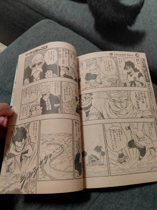 Dragon ball