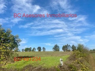 Terreno en venta en Rociana del Condado