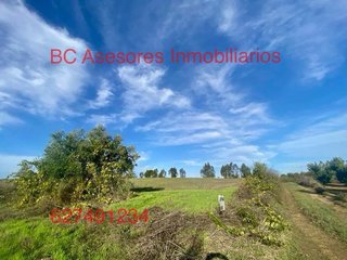 Terreno en venta en Rociana del Condado