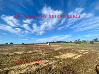 Terreno en venta en Rociana del Condado