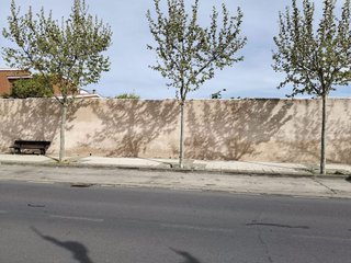 Terreno en venta en Bargas