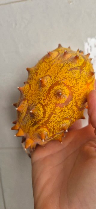 Semillas de Kiwano (Melón Africano)